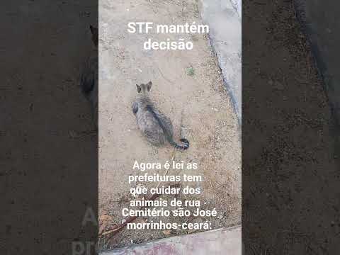 25 de julho de 2026