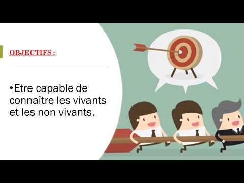 Leçon des Sciences CP : Les vivants et les non vivants.