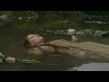 POV You Re Laying In The Forest With Your Comfort Character While It S Raining A Slowed Playlist