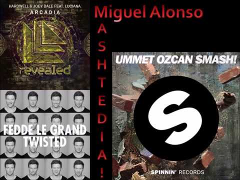 MASHTEDIA! - Fedde Le Grand vs. Ummet Ozcan vs. Hardwell & Joey Dale (Miguel Alonso MashUp)