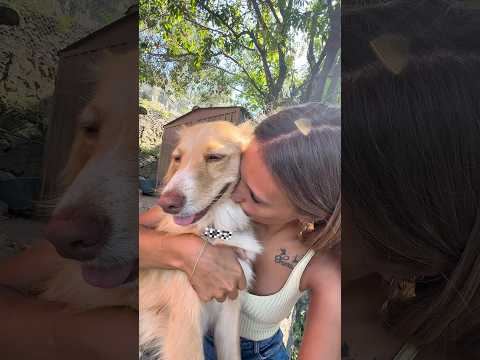Reazione animaletti♥️