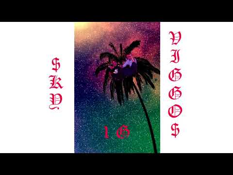 Sky x Viggo$ - 1G (Official Audio)