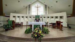 The Nineteenth Sunday in Ordinary Time, August 7, 2022
