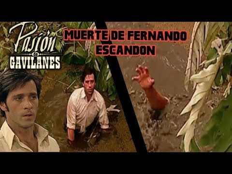 Muerte de Fernando en Pasion de Gavilanes