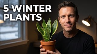 The BEST 5 Indoor Plants for SURVIVING Dark Winter Days