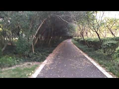 Minhang Green Road Shanghai China - MingNong Seeds