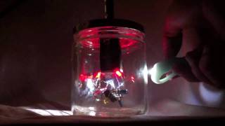 Light-Controlled Synth in a Jar