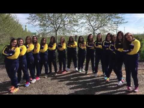 HISTORIA DE UN ASCENSO A DHF.