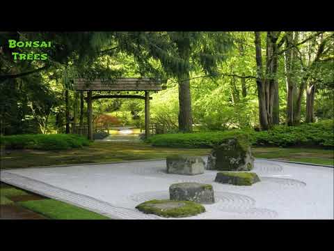 Beautiful Japanese Music 2019 | Koto Music & Shakuhachi Music
