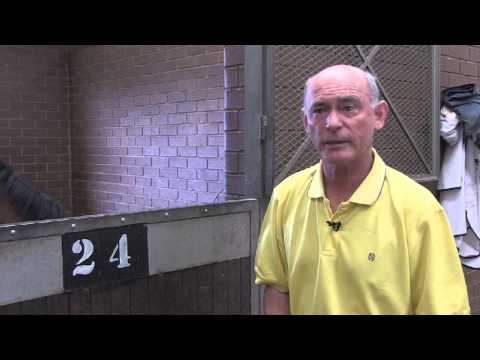 THE ROAD TO THE CAHRITY MILE   Computer