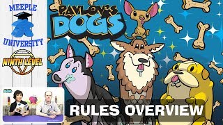Meeple University - Pavlov's House video thumbnail