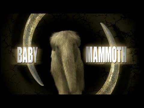 Baby Mammoth (2007)