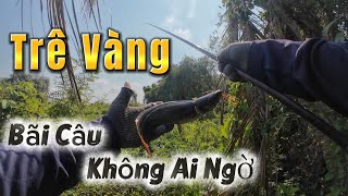 Download lagu Trê Vàng Khủng Bãi Câu Không Ai Ngờ Nước Lớn Cá Ăn Liên Tục Câu Nhấp Câu Nhóng (Video 58) mp3