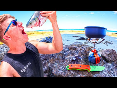 SOLO CAMPING on REMOTE BEACH: Eat what I Catch & Campfire Cook Up