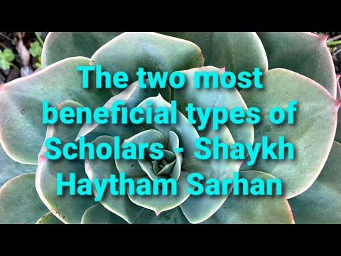The two most beneficial types of Scholars - Shaykh Haytham Sarhan