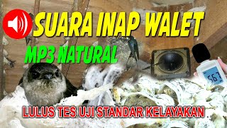Download lagu Suara RAJA INAP WALET langsung betah terbukti banyak yang menggunakan audio ini mp3