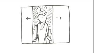 White Daisy by Orange Grove / Moving storyboard by Studio M