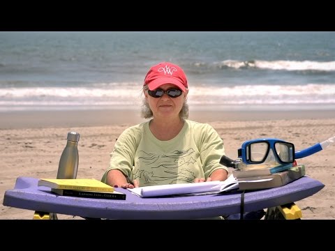 NONE: Singular or plural? | Comma Queen | The New Yorker