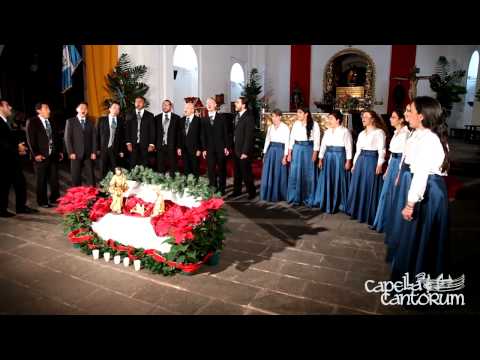 Capella Cantorum - In Dulci Jubilo - 2011
