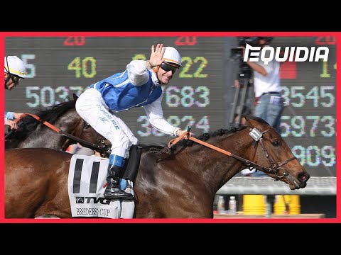 TOP COURSES 100% GOLDIKOVA | Les + belles courses de Goldikova