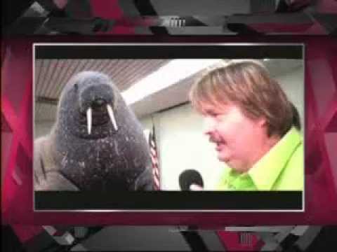 SuperXclusivo 11/17/11 - Lo botaron como bolsa Leo Fernandez