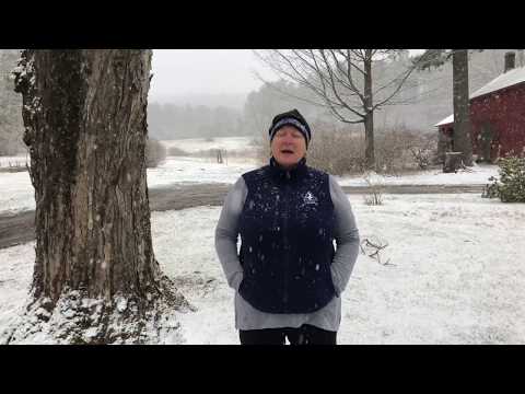 Explore Nature at Home: Dark-eyed Junco