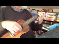 Puppet On A String - Arranged&played by Colin Tribe on LEHO