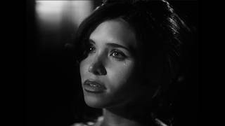 Cover art for BUFFALO 66 - Nessa Barrett