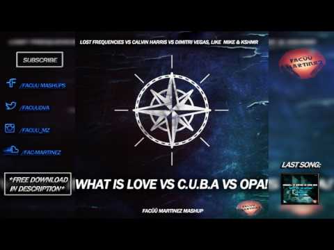 Lost Frequencies vs Calvin Harris vs DV&LM - What Is Love vs C.U.B.A vs OPA! (Facüü Martinez Mashup)