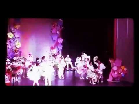 SON BAREKE COLOMBIA IBAGUE TOLIMA - LERO LERO CANDELERO,  Muestra Reinado Municipal