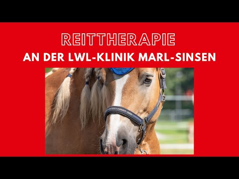 Reittherapie an der LWL-Klinik Marl Sinsen