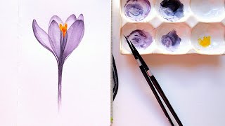 How to Paint Transparent Purple Crocus Flower in Watercolor