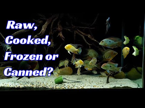 How To Feed Zuchinni And Other Vegetables To Fish The Easy Way!