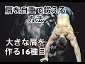 大きな肩を作る自重トレーニング
