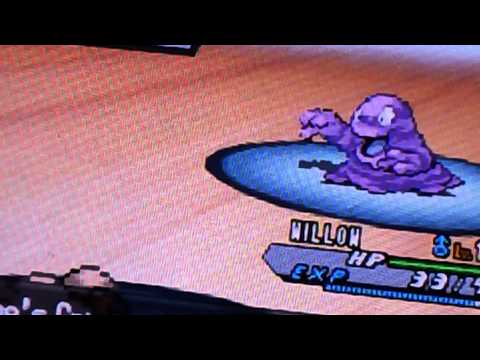 P0kemon White 2 Part 9: Willow Becomes Flaffy