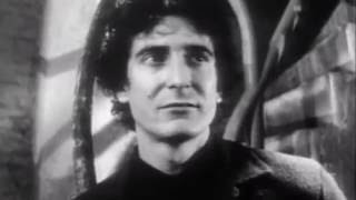 Stan Ridgway - The Big Heat + Lyrics 1986