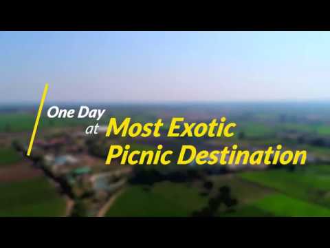 download lagu mp3 mp4 Meher Retreat Day Picnic, download lagu Meher Retreat Day Picnic gratis, unduh video klip Meher Retreat Day Picnic