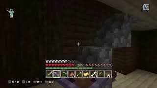 盛大にやらかした［マインクラフト］