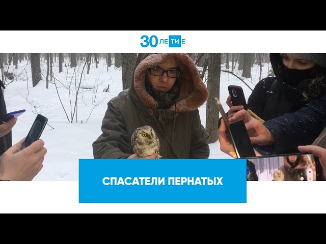 Как в Татарстане спасают больных и раненных птиц