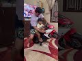 Dhruv Bike ஓட்டுற அழகே தனி Shorts Myna Wings