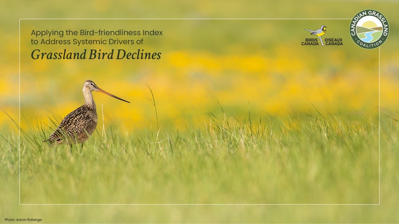 Applying the Bird‑friendliness Index to Address Systemic Drivers of Grassland Bird Declines