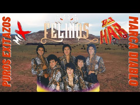 LOS FELINOS PUROS EXITAZOS MARCA DIABLO, CORRIDITAS PARA BAILAR ABRAZADITOS MIX UNA TRAS OTRA DJ HAR