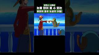 원피스) 눈물 없이 볼 수 없는 루피와 쿵푸 듀공의 이별! #onepiece #원피스