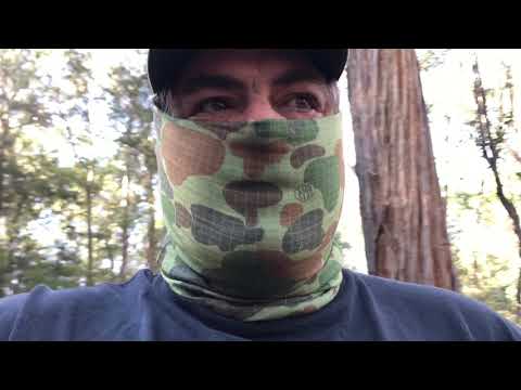 SPINY STALKERS: Hunting Gippsland Spiny Freshwater Crayfish