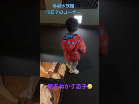こども学科 鳥羽水族館 化石コーナーで、落下する息子😁