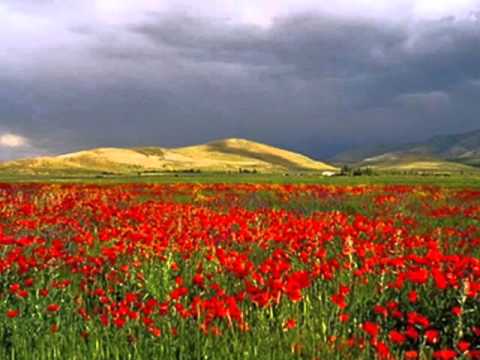 Armenian folk song - Bingyol