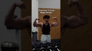 3 Exercises To Grow Bigger Biceps 🦾