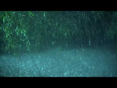 Beat Tinnitus with Heavy Rain on Lake, Calm Thunder in Deep Forest   Real Rain Sounds for Sleeping