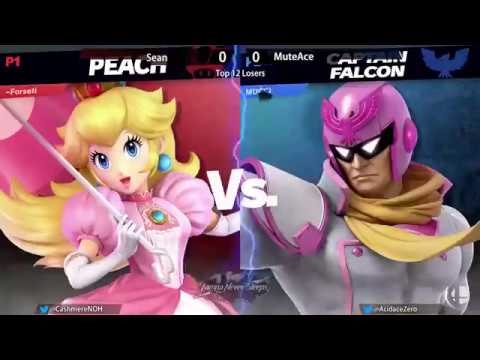 SSBU - TNS 1/19/19 - MuteAce vs. Sean