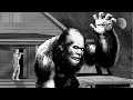 Arguably The Creepiest Bigfoot Encounter I Ve Ever Heard